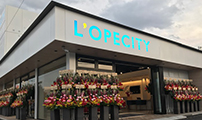 ロペシティ